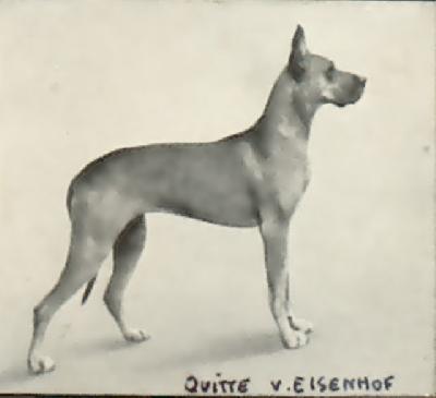 Quitte Von Eisenhof