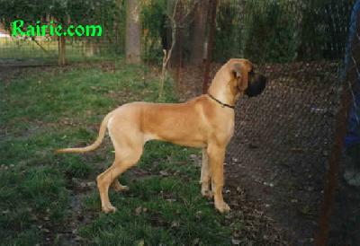 Ch Typ Top Des Terres De La Rairie
