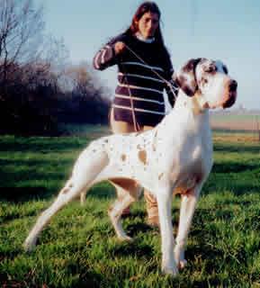 Maharani Von Saphir