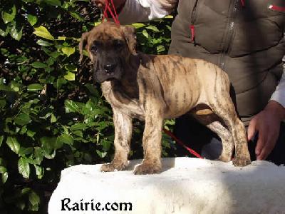 Tithan Des Terres De La Rairie