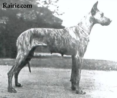 Boese Von Grempelstein