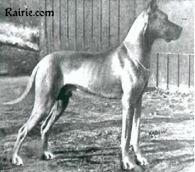 Cuno Von Lahngold