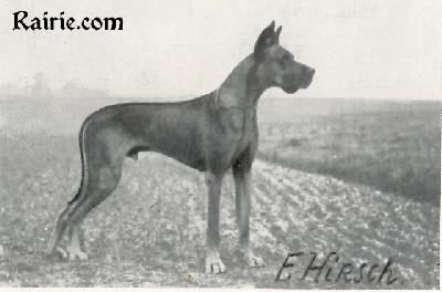 Hasso Kadow