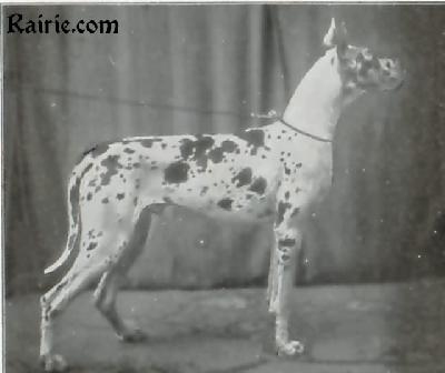 Prinz Von Riesenfeld
