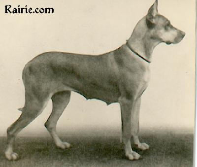 Wachta Frey