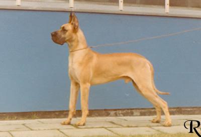Ch Bronco Von Der Stadt Hamburg