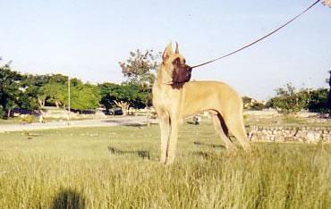 Uzeus Des Terres De La Rairie