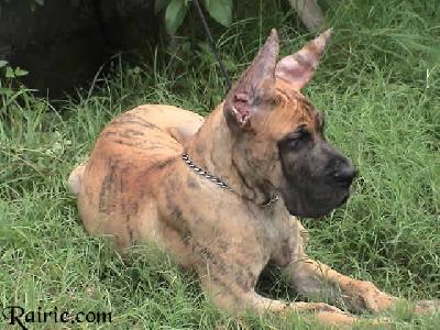 Umrah Des Terres De La Rairie