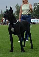 Mara (di Ripa Vertigo)
