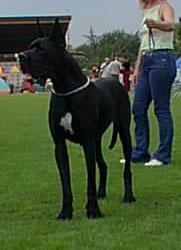 Mara (di Ripa Vertigo)