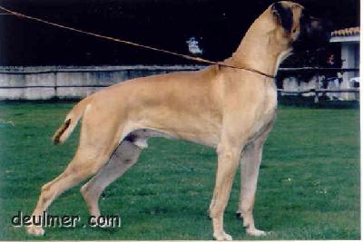 Ch Basel Axedius