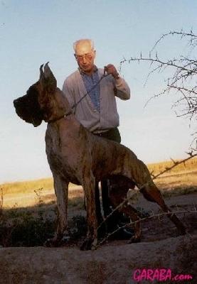 Ch Amigo De Garaba