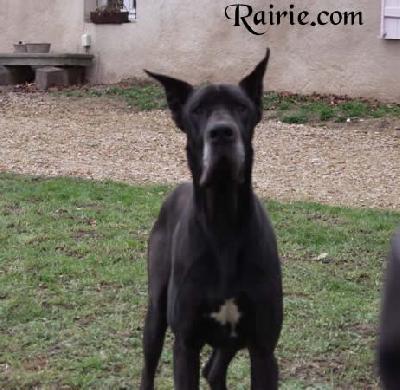 Ramunchow Des  Terres De La Rairie