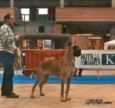 Ch Diana De Garaba