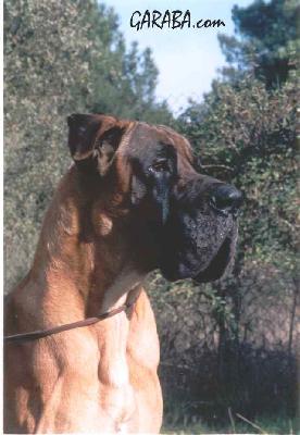 Bourbon De Viazas