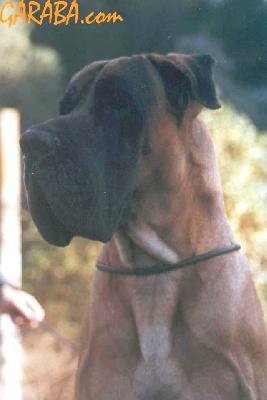 Bourbon De Viazas
