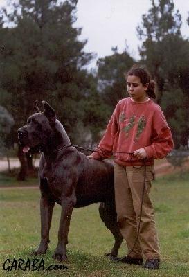 Yosoy De Garaba