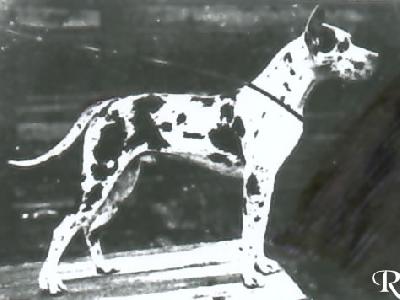 Pilord Von Riesenfeld