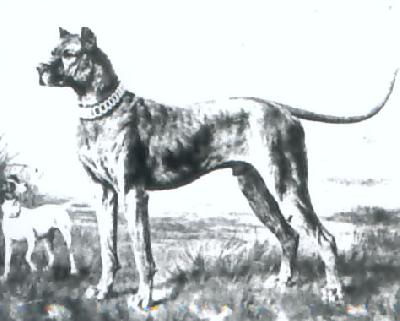 Nero I