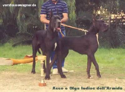 Olga-n Indios Dell Armida