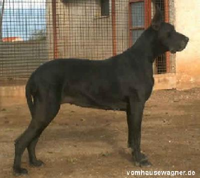 Concita-n Dell Alto Reno