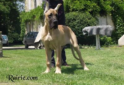 Una Filla De Baussenque