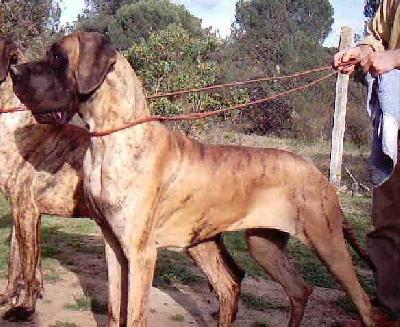 Ch Juncal De Garaba
