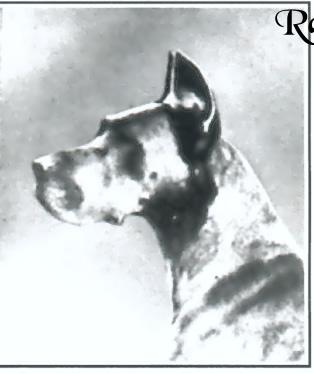 Ch Edfa Von Kaiserhof