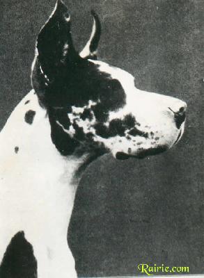 Gitta Von Proskau