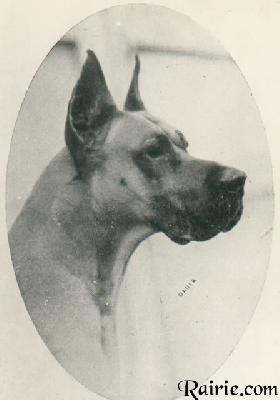 Ch Remus Von Der Rheinschanze