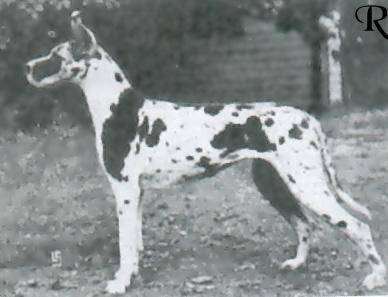 Xante Von Birkenhof