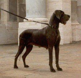 Wichita V. Tbuitengebeuren