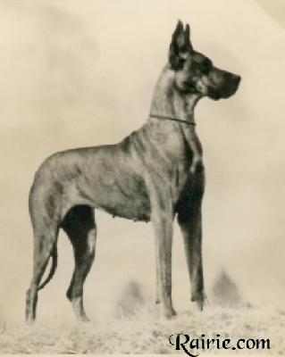 Pax Von Birkenhof