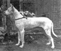 Aga Von Der Ruhr