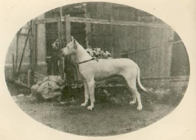 Aga Von Der Ruhr