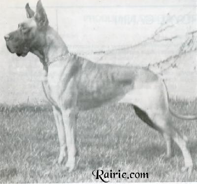 Ch Charlotte De Heurte Feuille