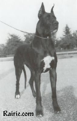 Kyra Von Der Ofnethohle