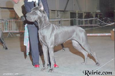 Ulmina Des Terres De La Rairie