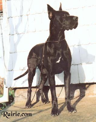 Maike Vom Hause Istra