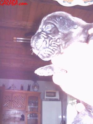 Cash2004021504 De Garaba