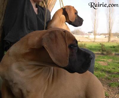 Ukana Des Terres De La Rairie