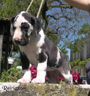 Yuro2004032806 Des Terres De La Rairie