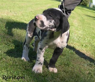 Stro2004040801 Des Terres De La Rairie
