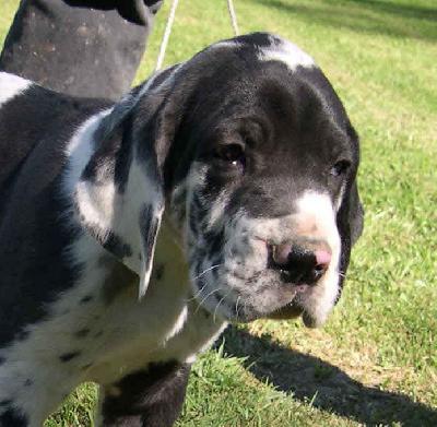 Stro2004040801 Des Terres De La Rairie