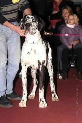 Crystal Claudia Bohemica