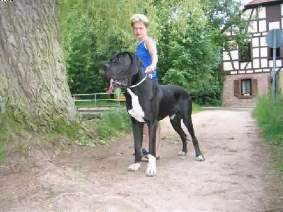 Fitus Von Schlesien