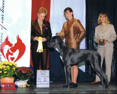 Xouxou Vom Hause Wagner