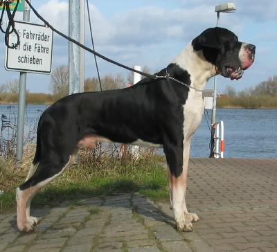 Hannibal Von Der Stadt Lneburg