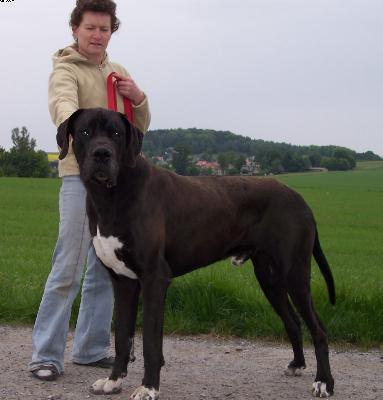 Obadja Vom Wchterberg