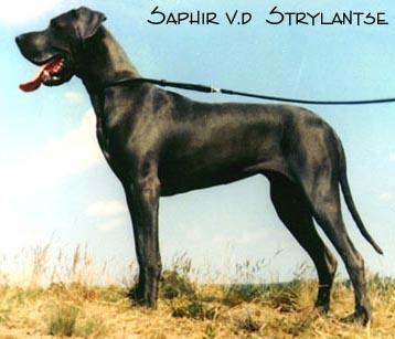 Saphir Van Die Stryelantse